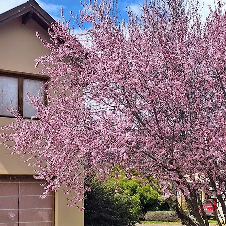 Milagros Del Sur Villa San Martin de los Andes Exterior photo